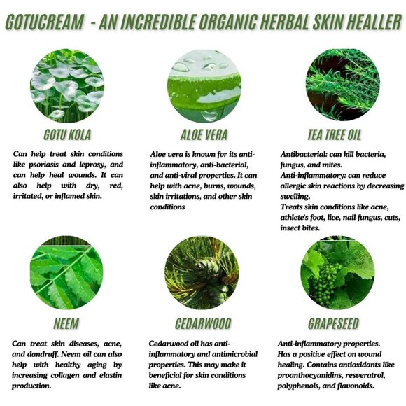 Gotucream 2oz Jar ~ Organic Healing Cream ~ New Made in Scotland. Gotu Cream - Picture 3 of 3